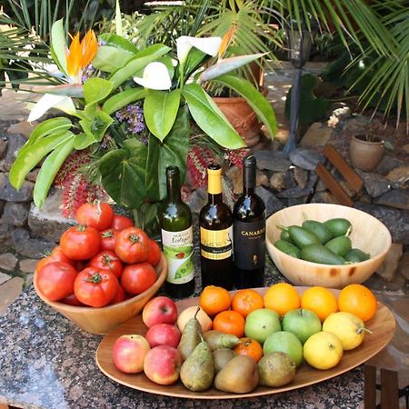 Cabana Ecologica La Orotava Zewnętrze zdjęcie